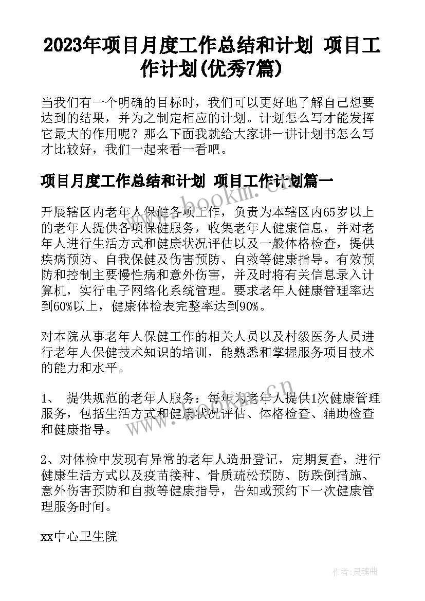 2023年项目月度工作总结和计划 项目工作计划(优秀7篇)