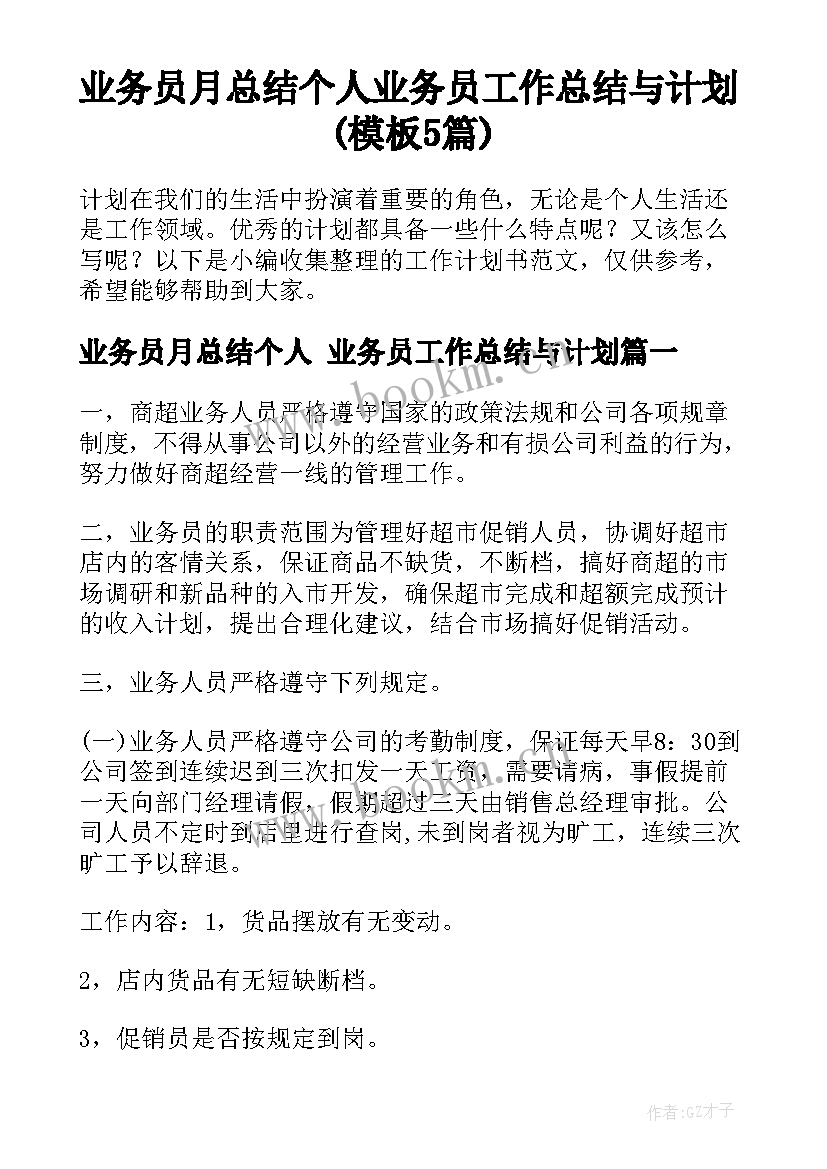 业务员月总结个人 业务员工作总结与计划(模板5篇)