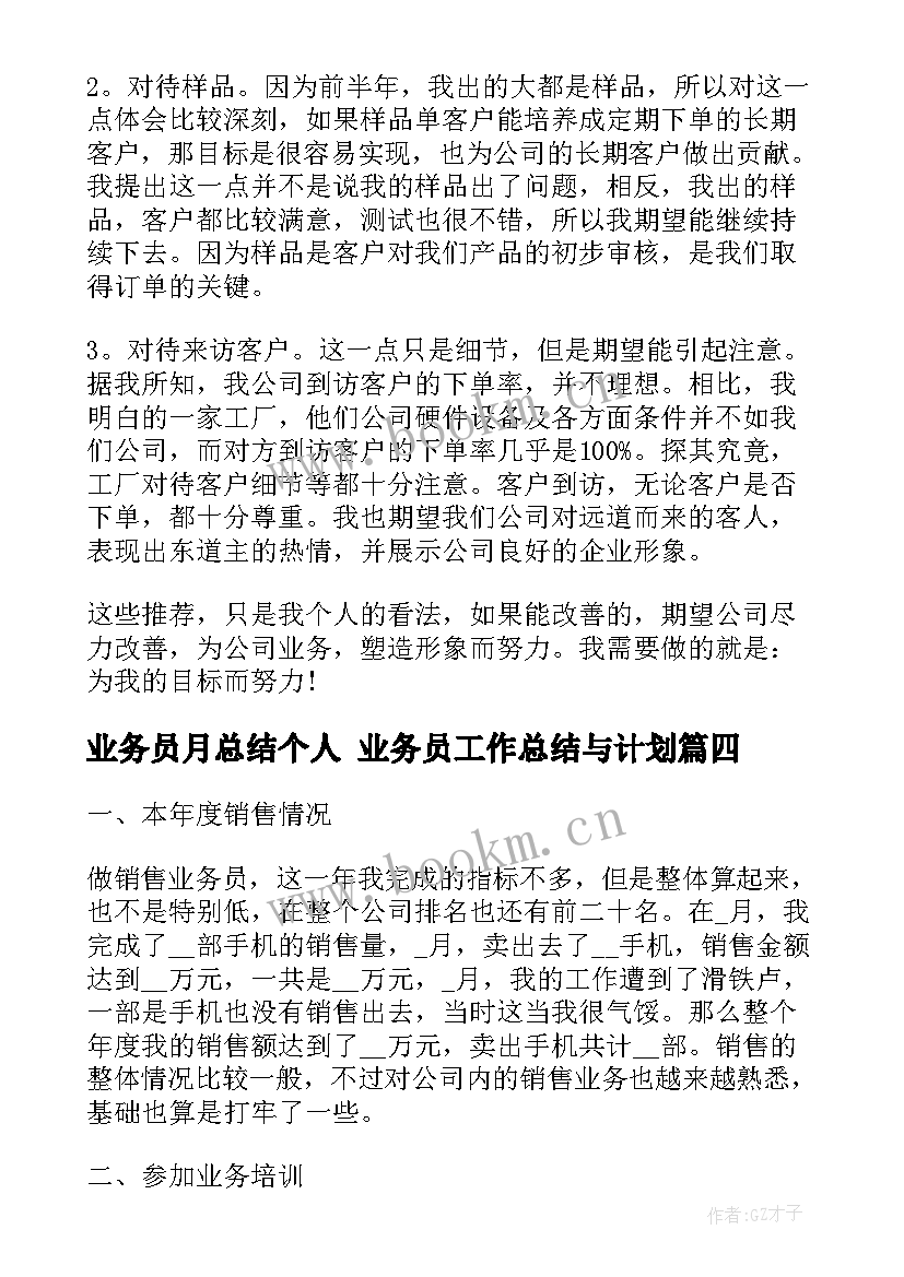 业务员月总结个人 业务员工作总结与计划(模板5篇)