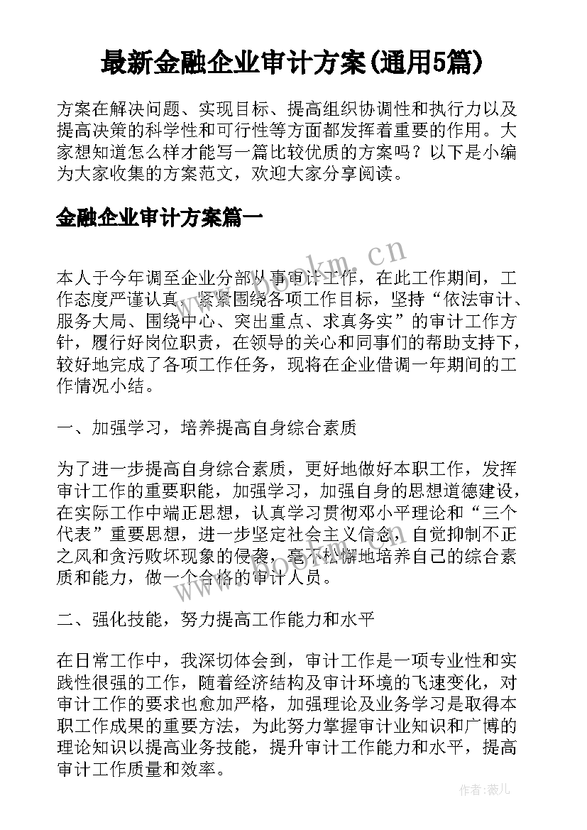 最新金融企业审计方案(通用5篇)