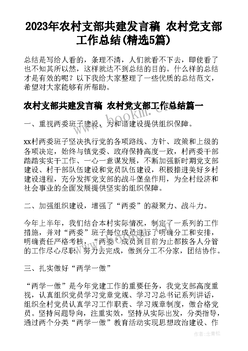 2023年农村支部共建发言稿 农村党支部工作总结(精选5篇)