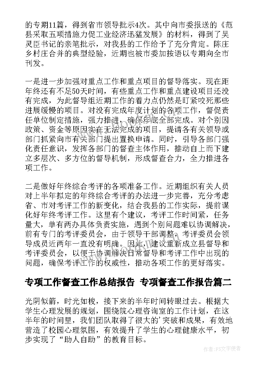 2023年专项工作督查工作总结报告 专项督查工作报告(通用5篇)