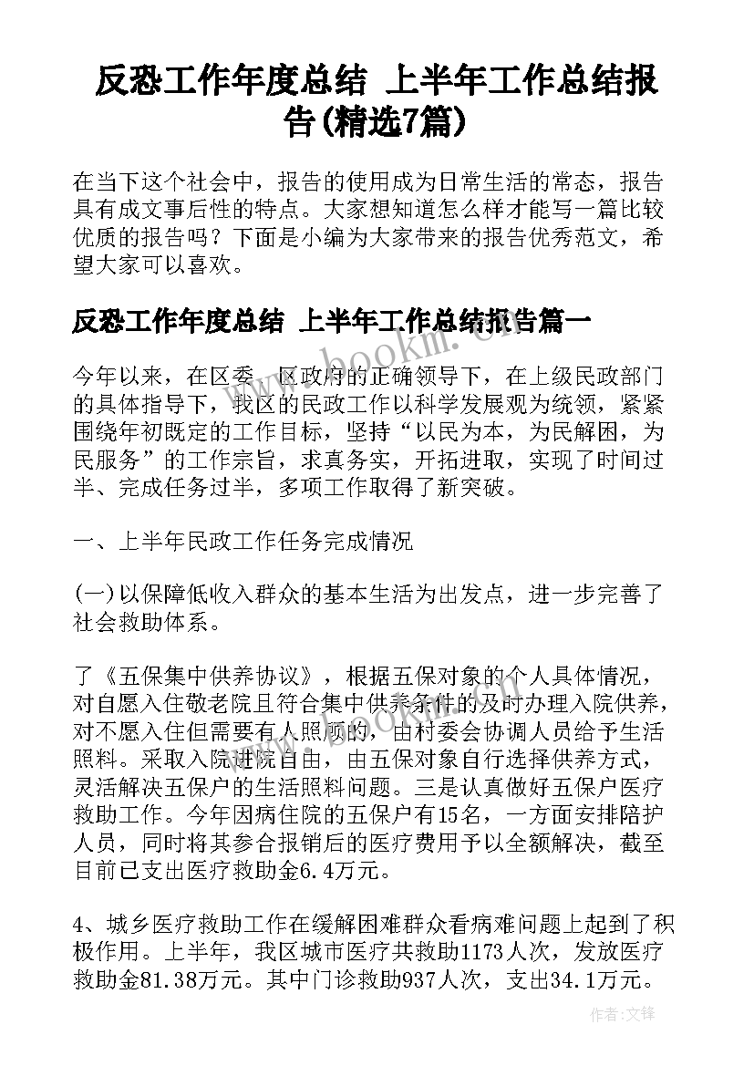 反恐工作年度总结 上半年工作总结报告(精选7篇)