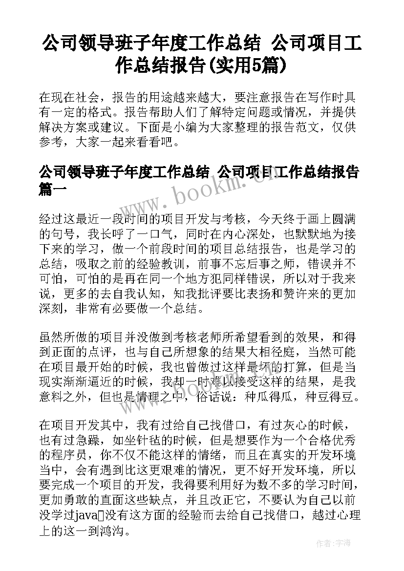 公司领导班子年度工作总结 公司项目工作总结报告(实用5篇)