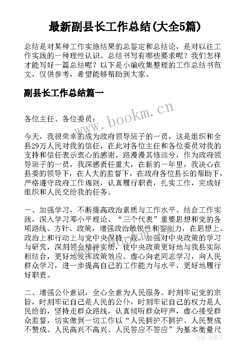 最新副县长工作总结(大全5篇)