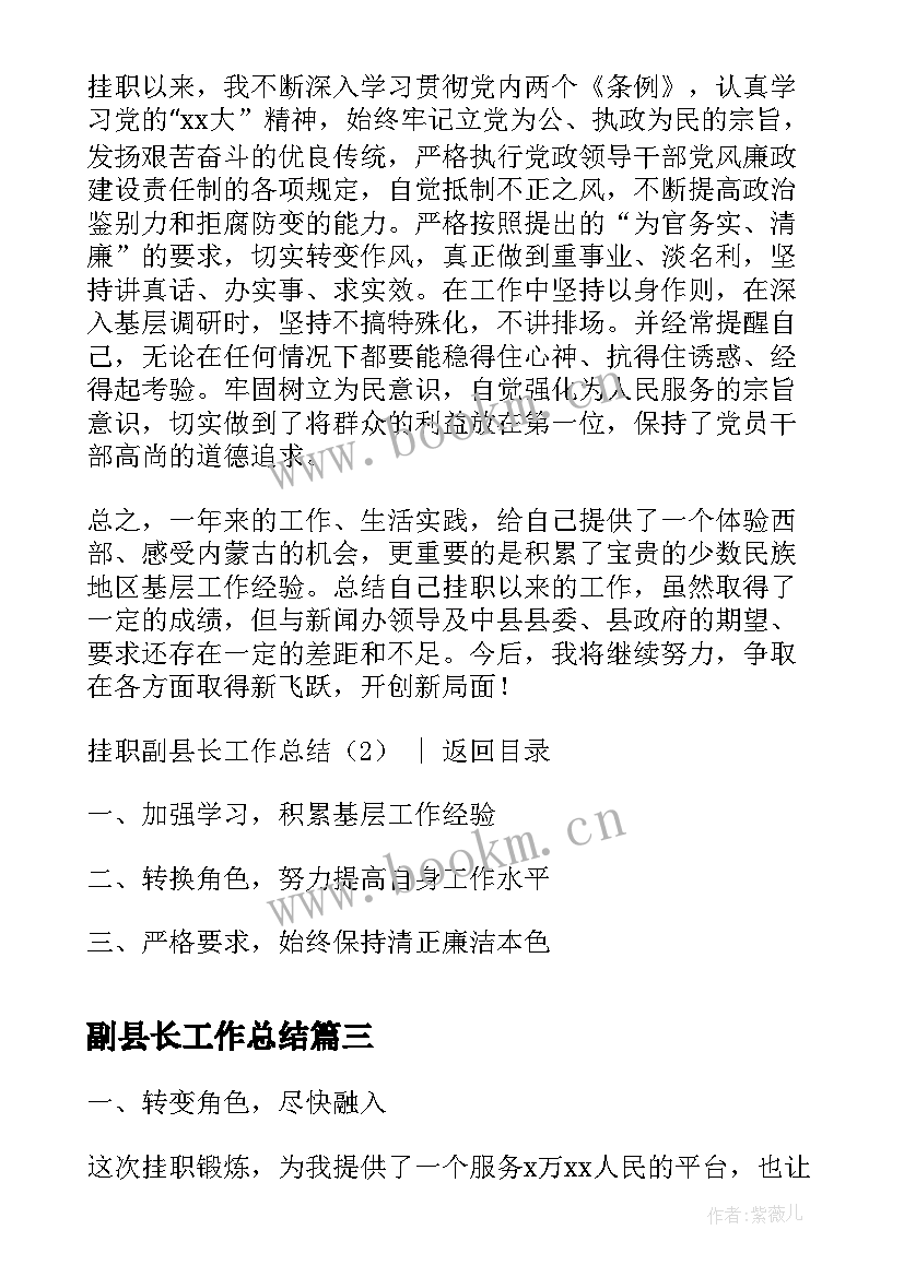 最新副县长工作总结(大全5篇)