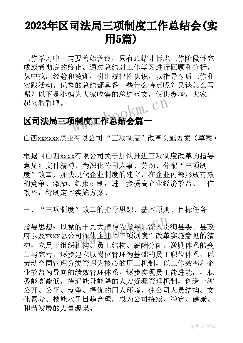 2023年区司法局三项制度工作总结会(实用5篇)