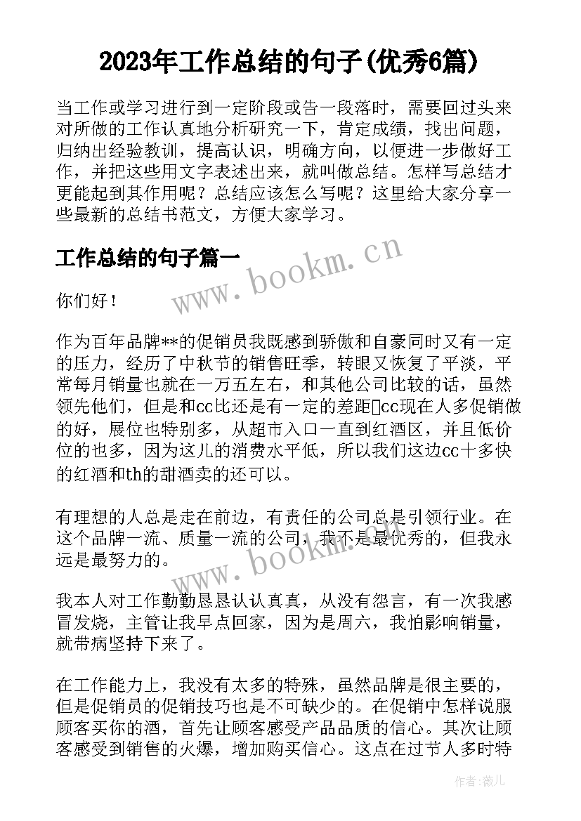 2023年工作总结的句子(优秀6篇)