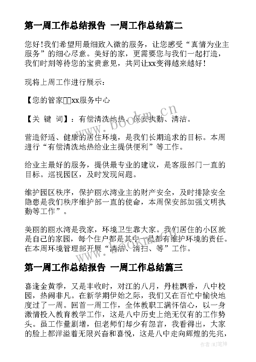 2023年第一周工作总结报告 一周工作总结(通用6篇)