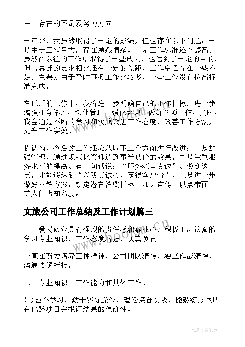 2023年文旅公司工作总结及工作计划(模板9篇)