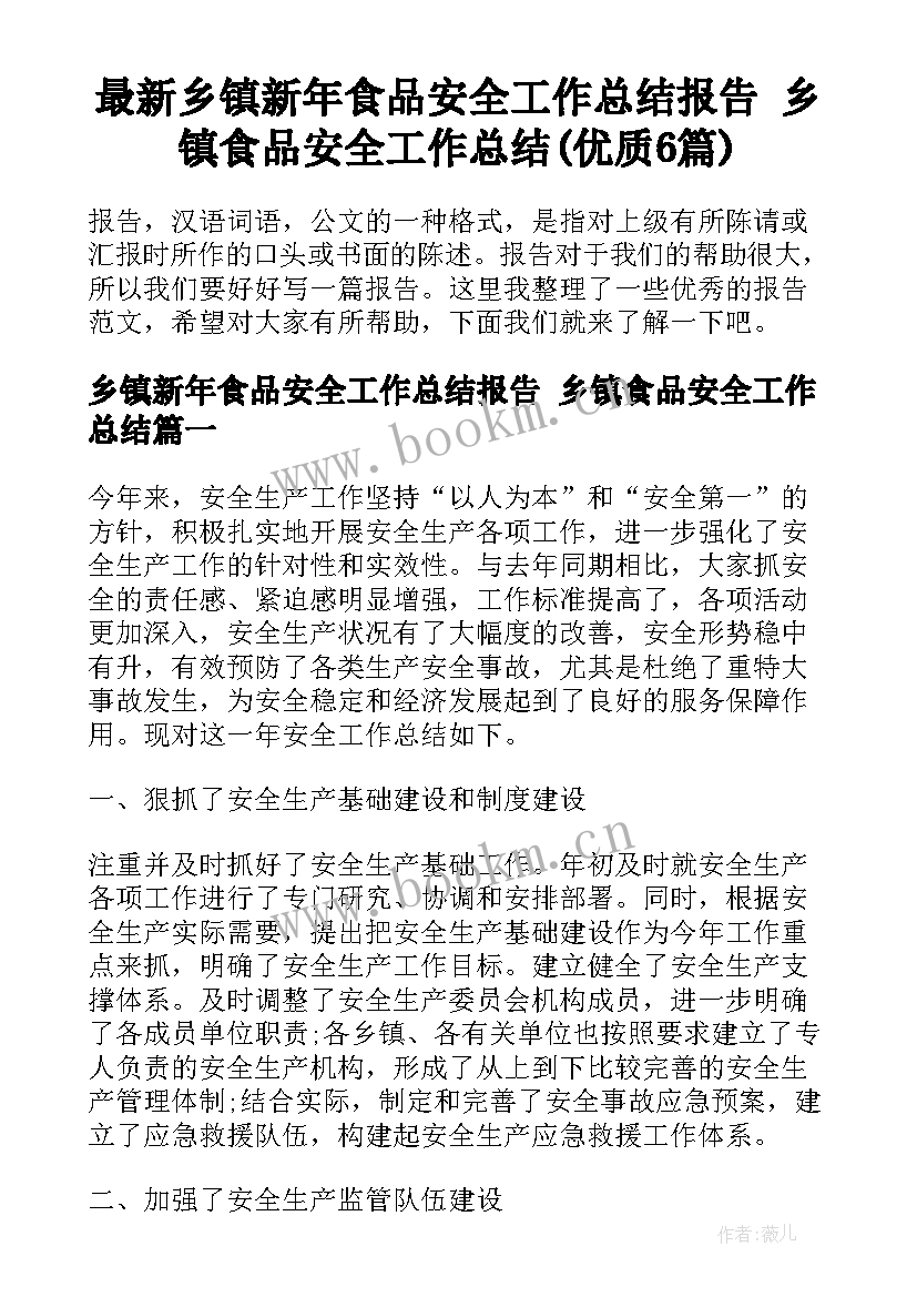 最新乡镇新年食品安全工作总结报告 乡镇食品安全工作总结(优质6篇)