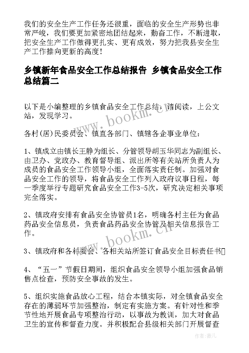 最新乡镇新年食品安全工作总结报告 乡镇食品安全工作总结(优质6篇)