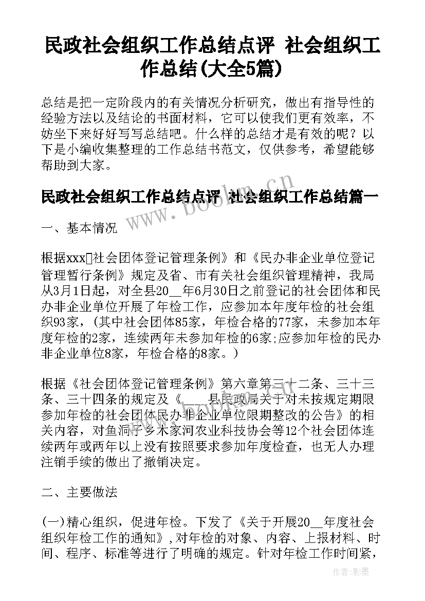 民政社会组织工作总结点评 社会组织工作总结(大全5篇)