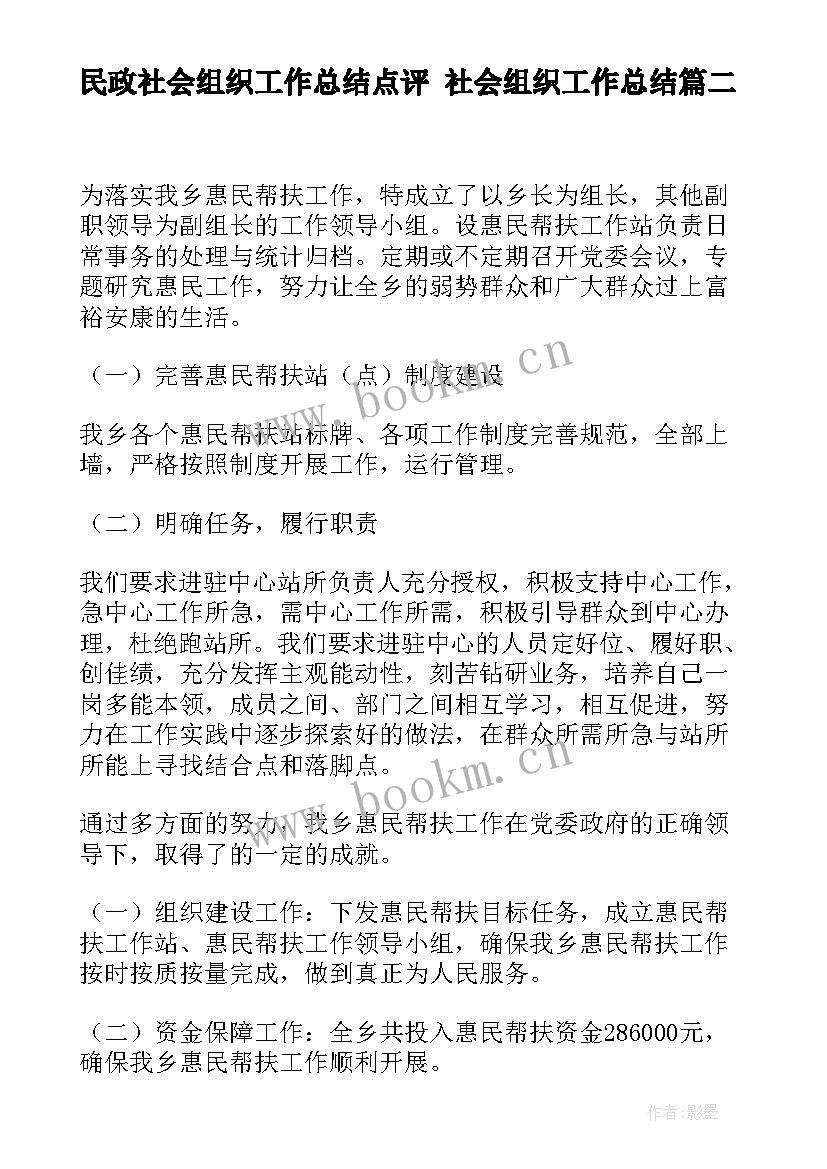 民政社会组织工作总结点评 社会组织工作总结(大全5篇)