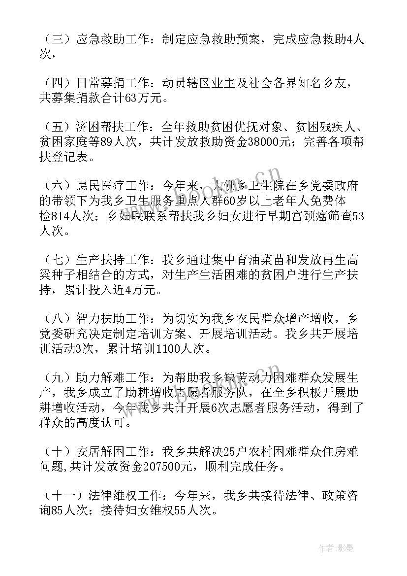 民政社会组织工作总结点评 社会组织工作总结(大全5篇)