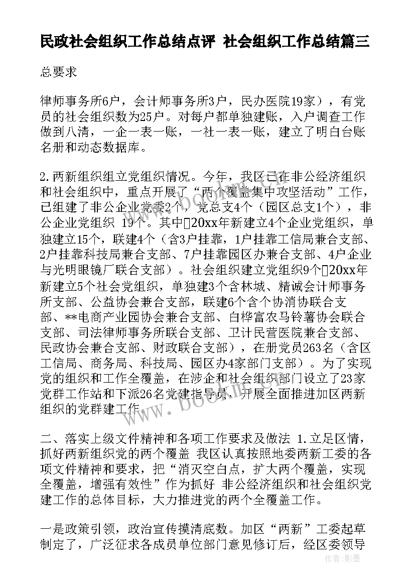 民政社会组织工作总结点评 社会组织工作总结(大全5篇)