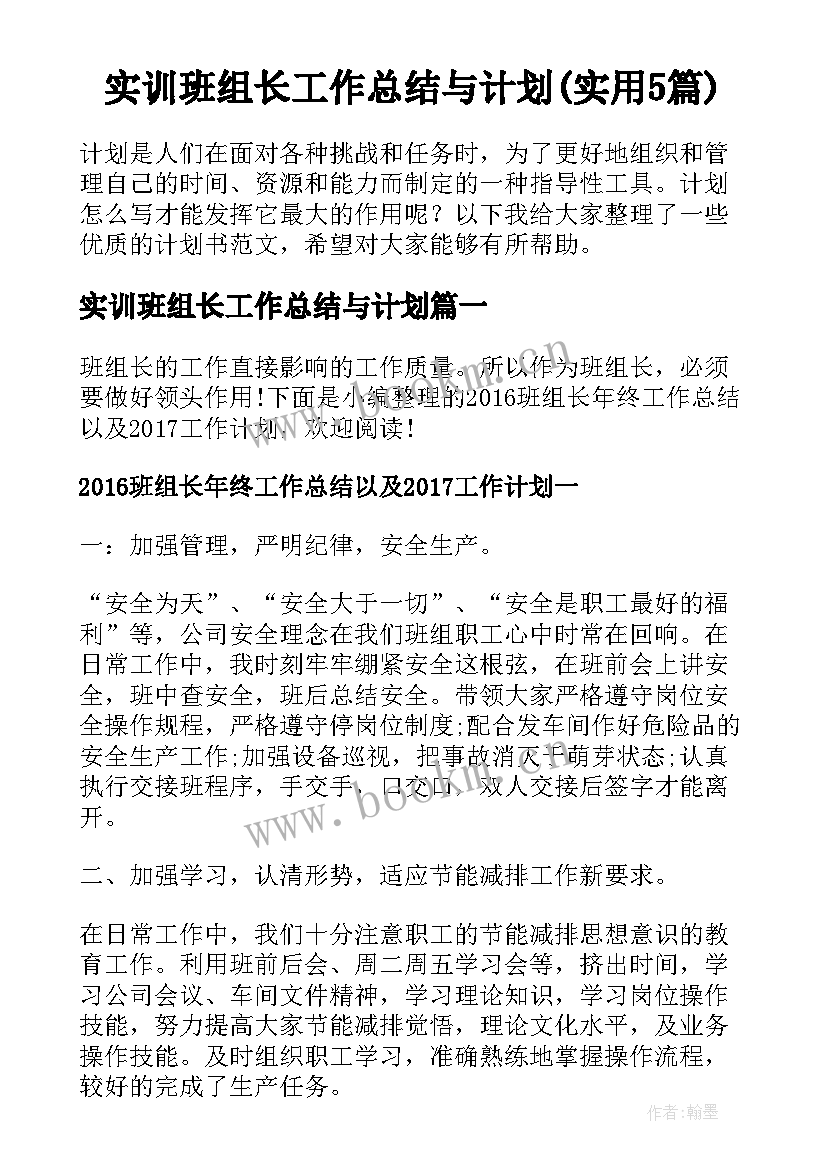 实训班组长工作总结与计划(实用5篇)