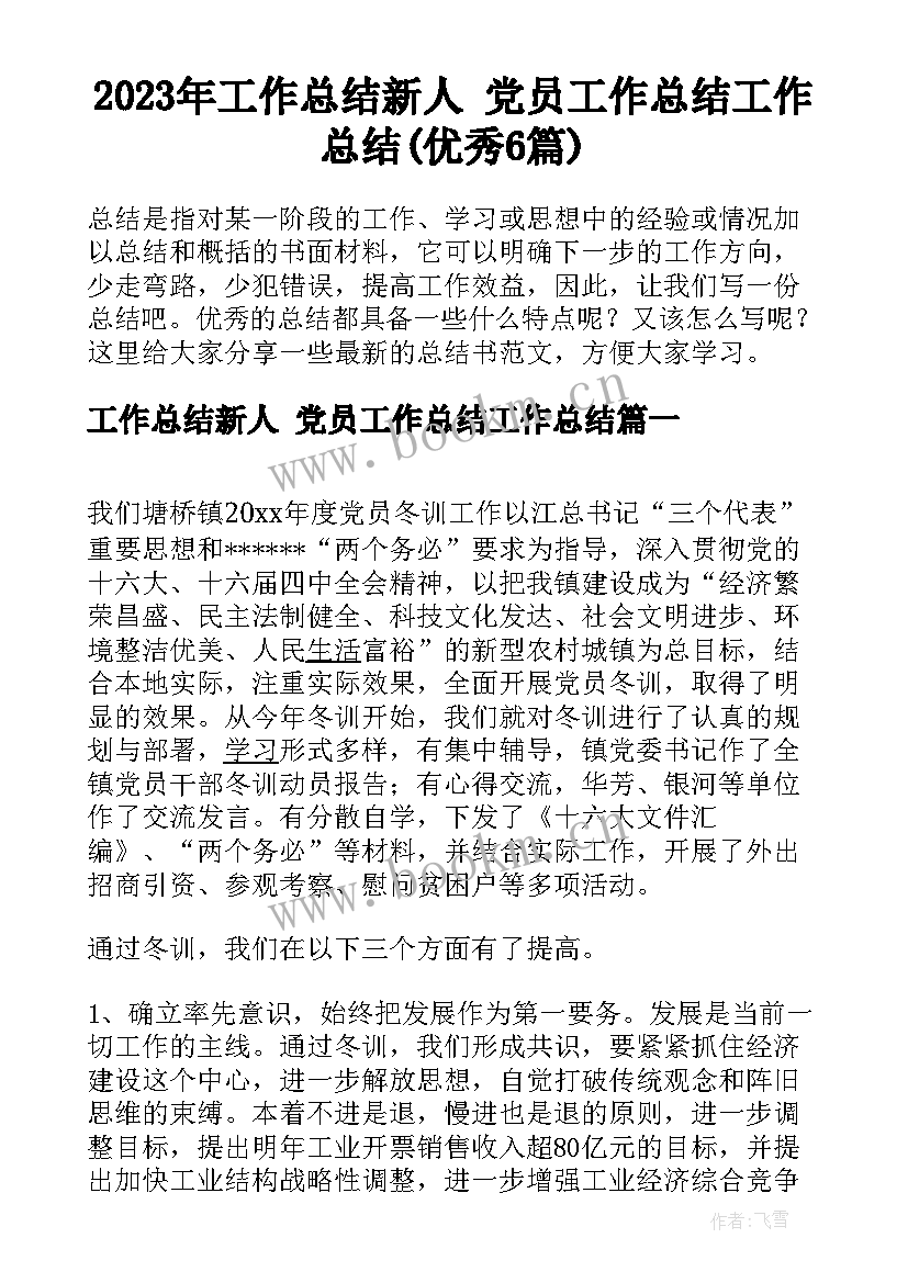 2023年工作总结新人 党员工作总结工作总结(优秀6篇)