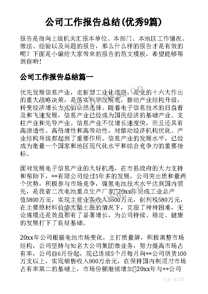 公司工作报告总结(优秀9篇)