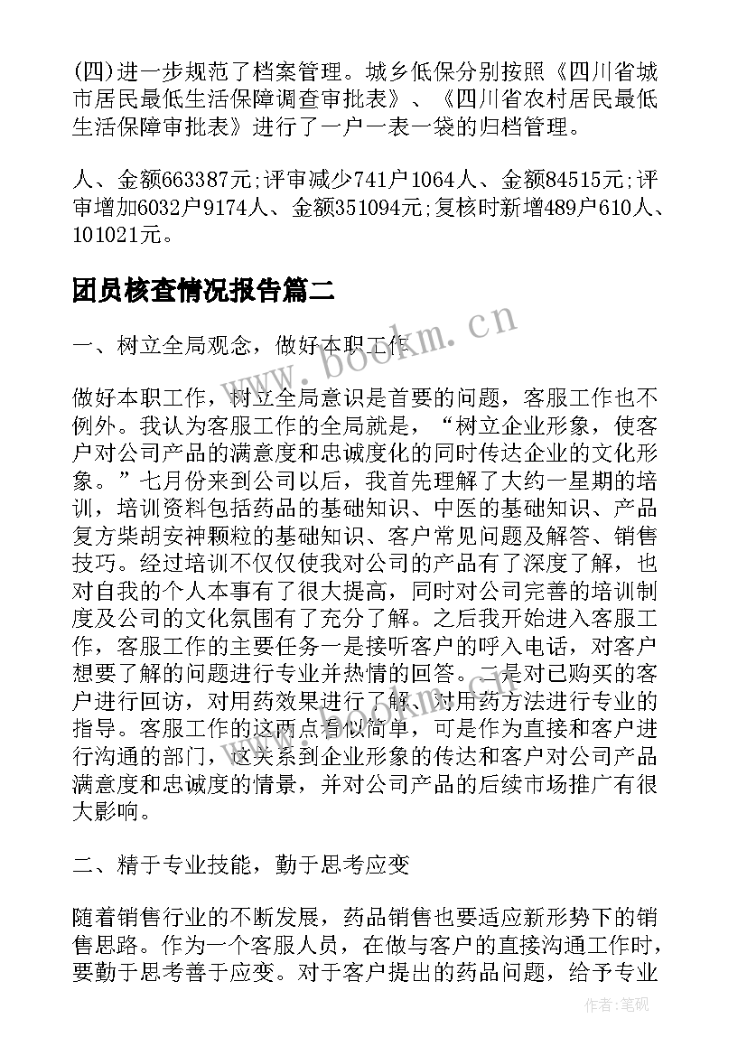 团员核查情况报告(模板5篇)