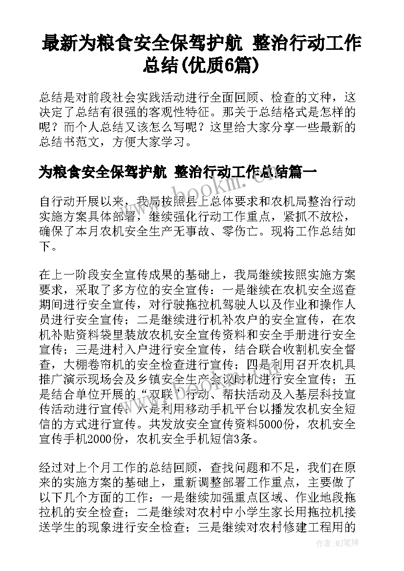 最新为粮食安全保驾护航 整治行动工作总结(优质6篇)