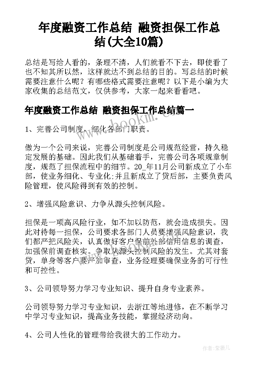 年度融资工作总结 融资担保工作总结(大全10篇)