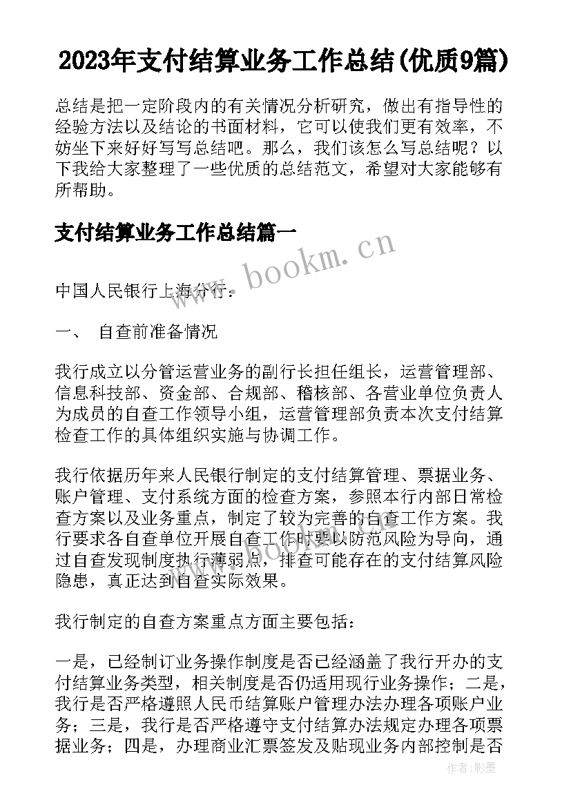 2023年支付结算业务工作总结(优质9篇)