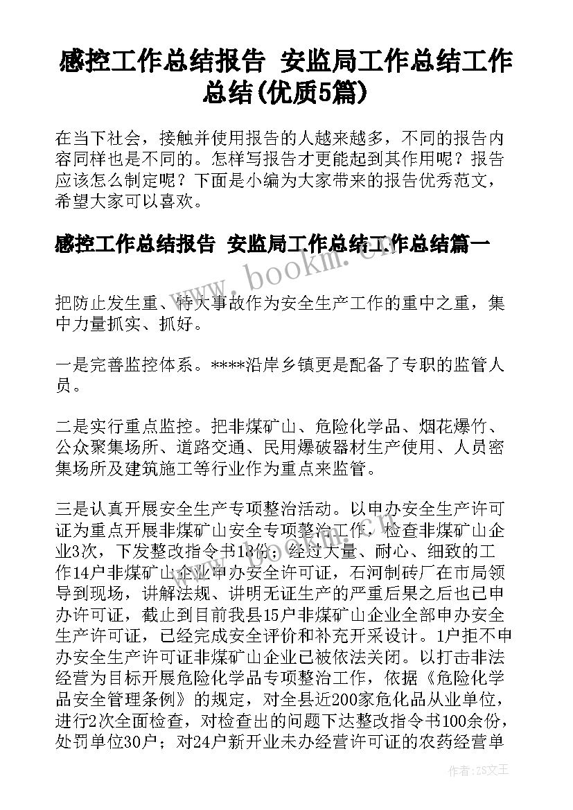 感控工作总结报告 安监局工作总结工作总结(优质5篇)