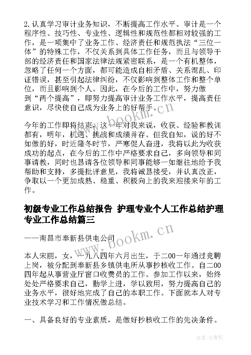 2023年初级专业工作总结报告 护理专业个人工作总结护理专业工作总结(模板10篇)