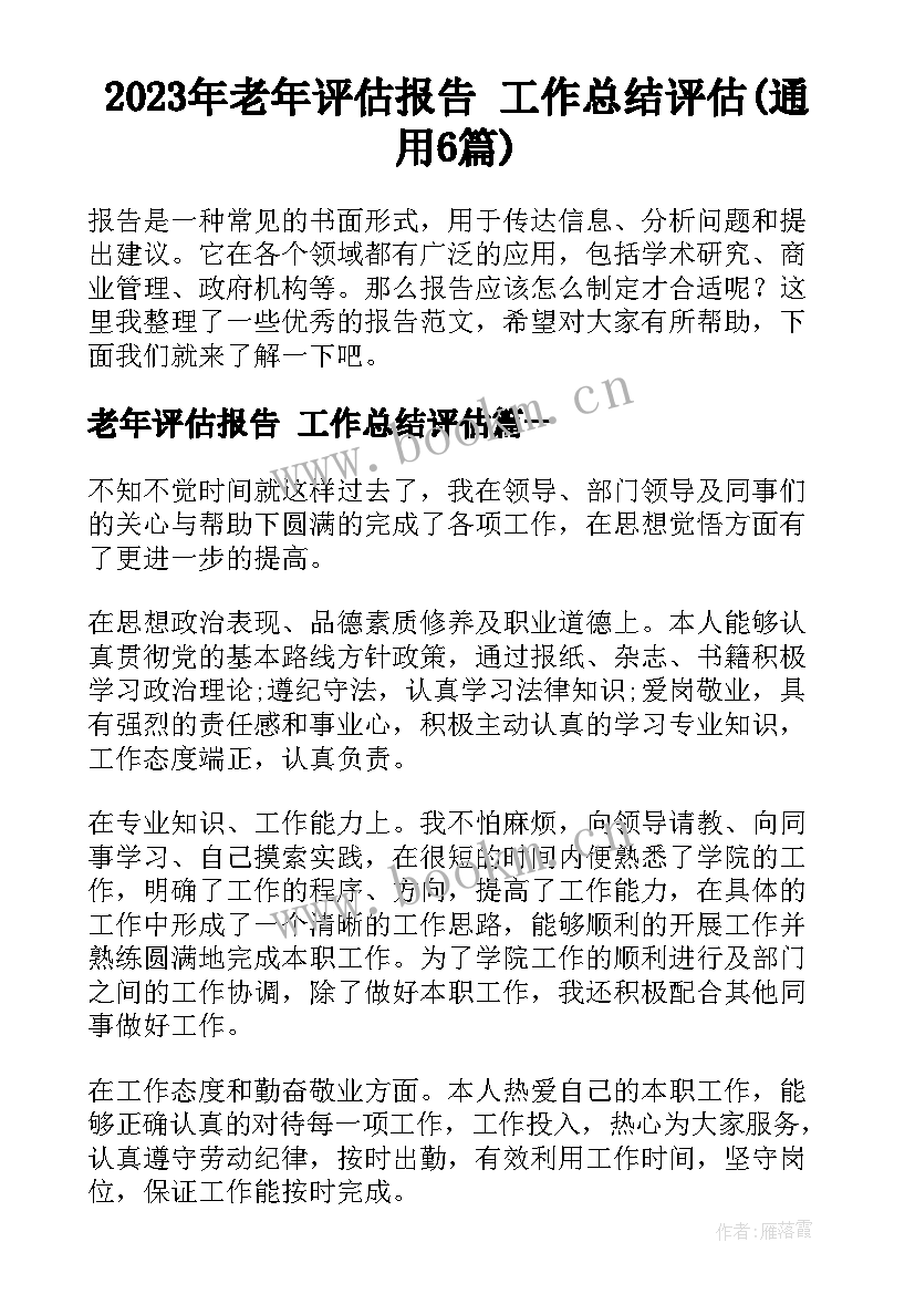 2023年老年评估报告 工作总结评估(通用6篇)