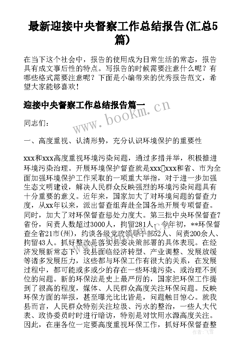 最新迎接中央督察工作总结报告(汇总5篇)