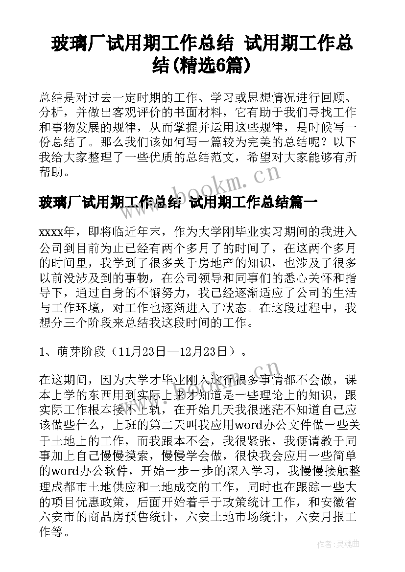 玻璃厂试用期工作总结 试用期工作总结(精选6篇)