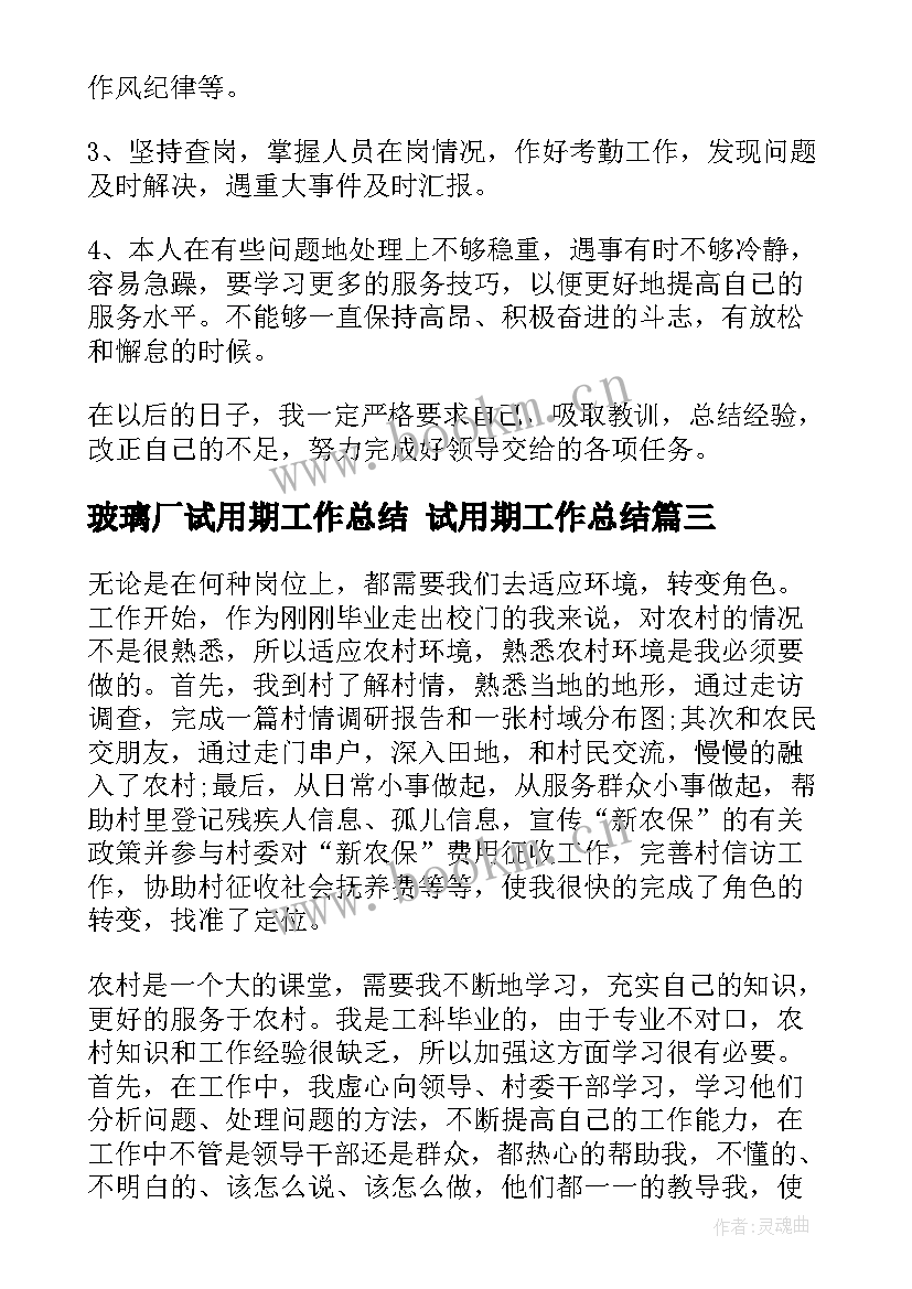 玻璃厂试用期工作总结 试用期工作总结(精选6篇)