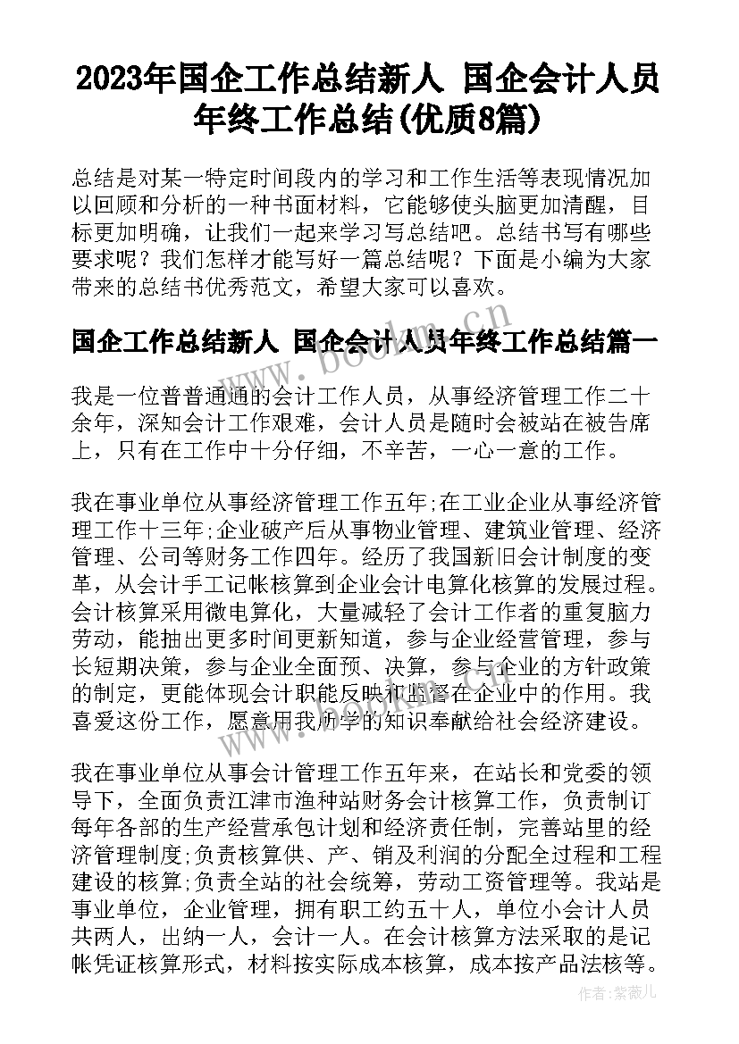 2023年国企工作总结新人 国企会计人员年终工作总结(优质8篇)