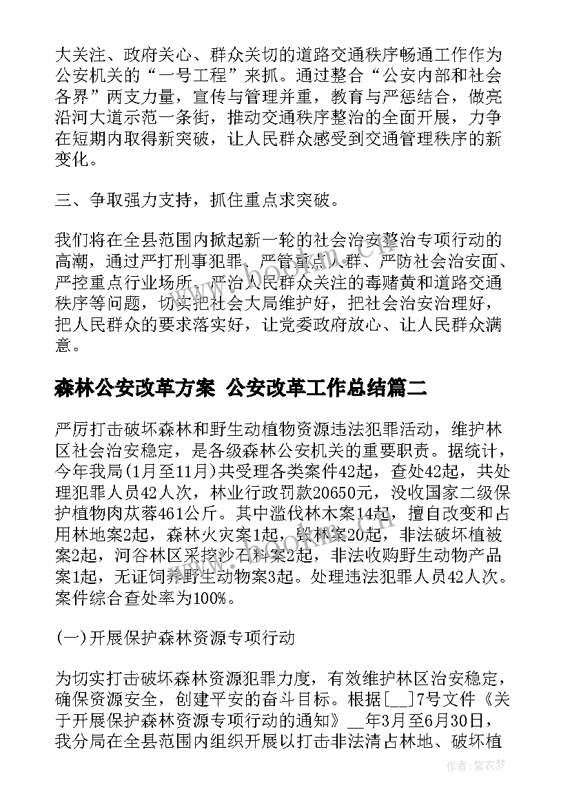 2023年森林公安改革方案 公安改革工作总结(汇总5篇)