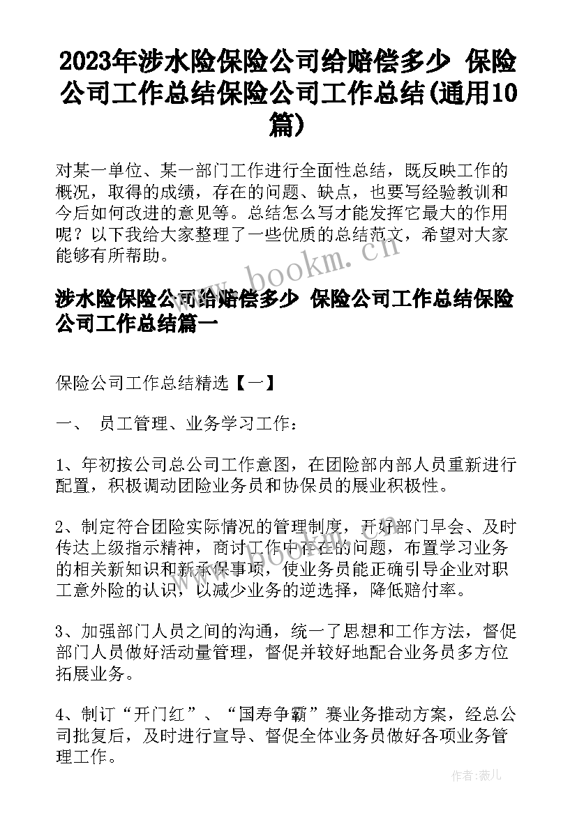 2023年涉水险保险公司给赔偿多少 保险公司工作总结保险公司工作总结(通用10篇)