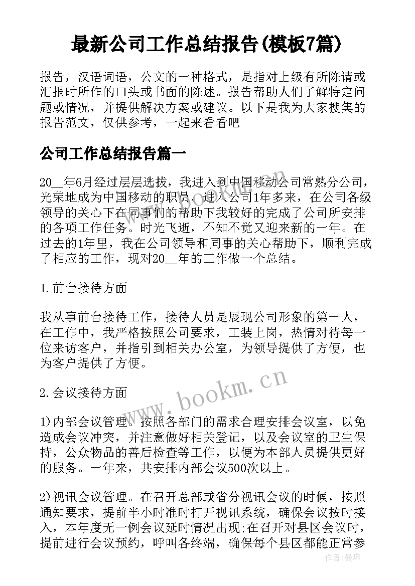 最新公司工作总结报告(模板7篇)