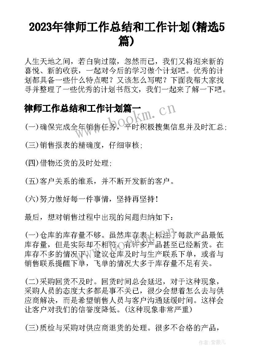 2023年律师工作总结和工作计划(精选5篇)