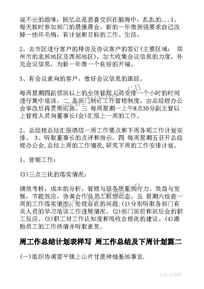 2023年周工作总结计划表样写 周工作总结及下周计划(优质5篇)