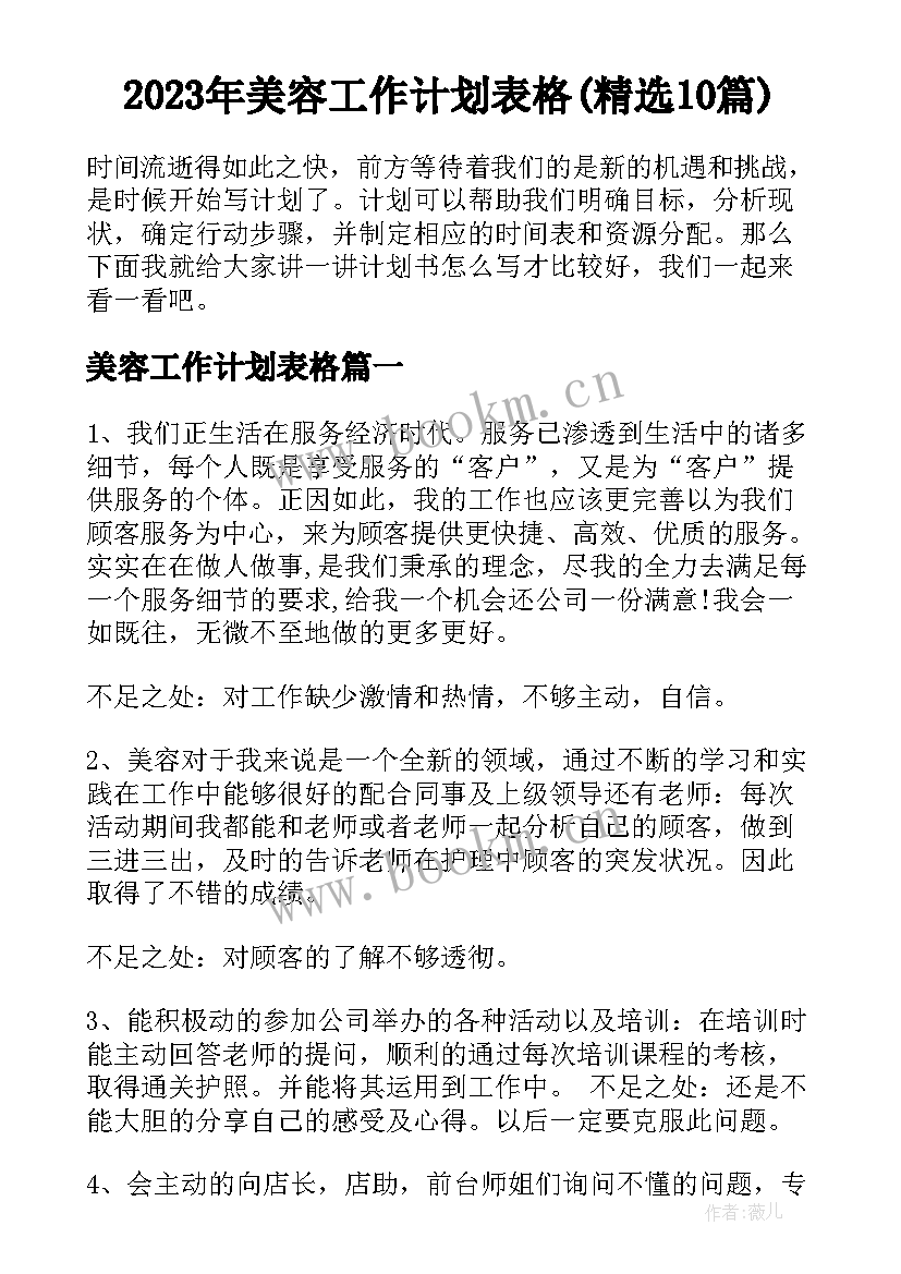 2023年美容工作计划表格(精选10篇)