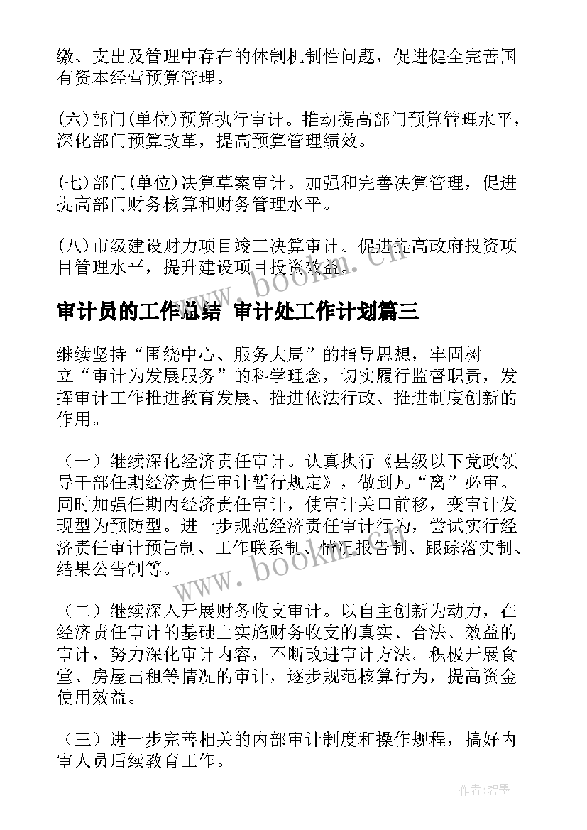 审计员的工作总结 审计处工作计划(模板5篇)