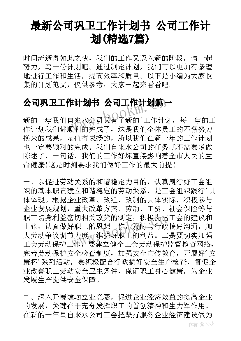 最新公司巩卫工作计划书 公司工作计划(精选7篇)