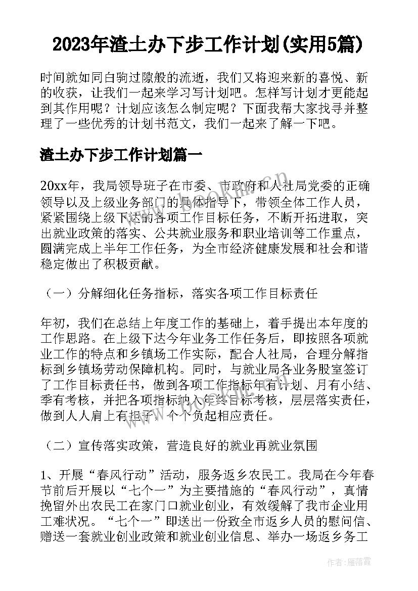 2023年渣土办下步工作计划(实用5篇)