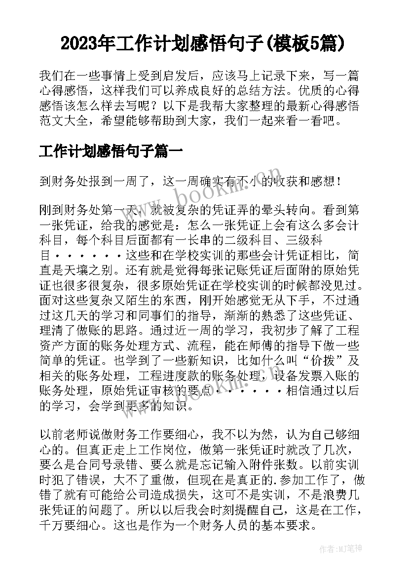 2023年工作计划感悟句子(模板5篇)