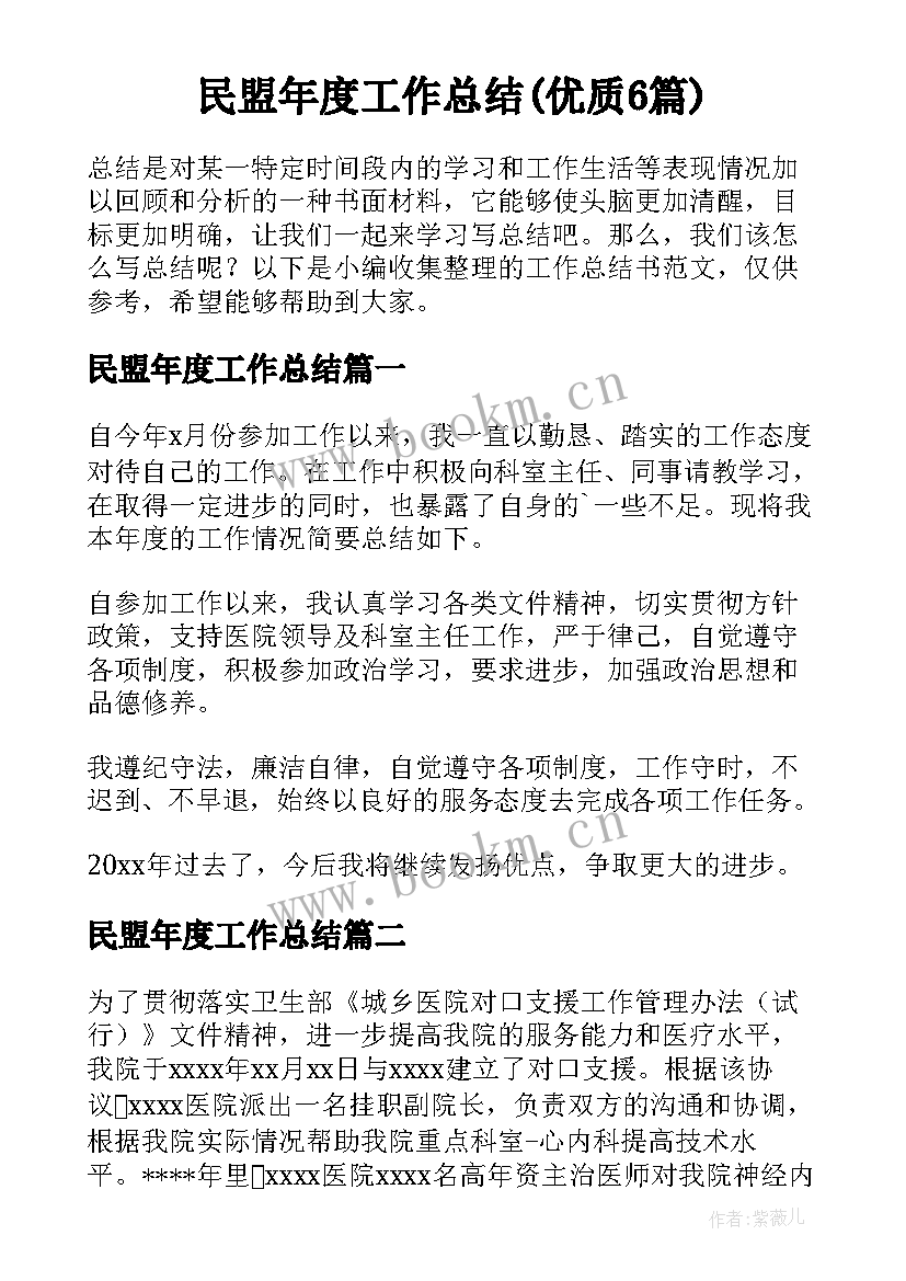 民盟年度工作总结(优质6篇)