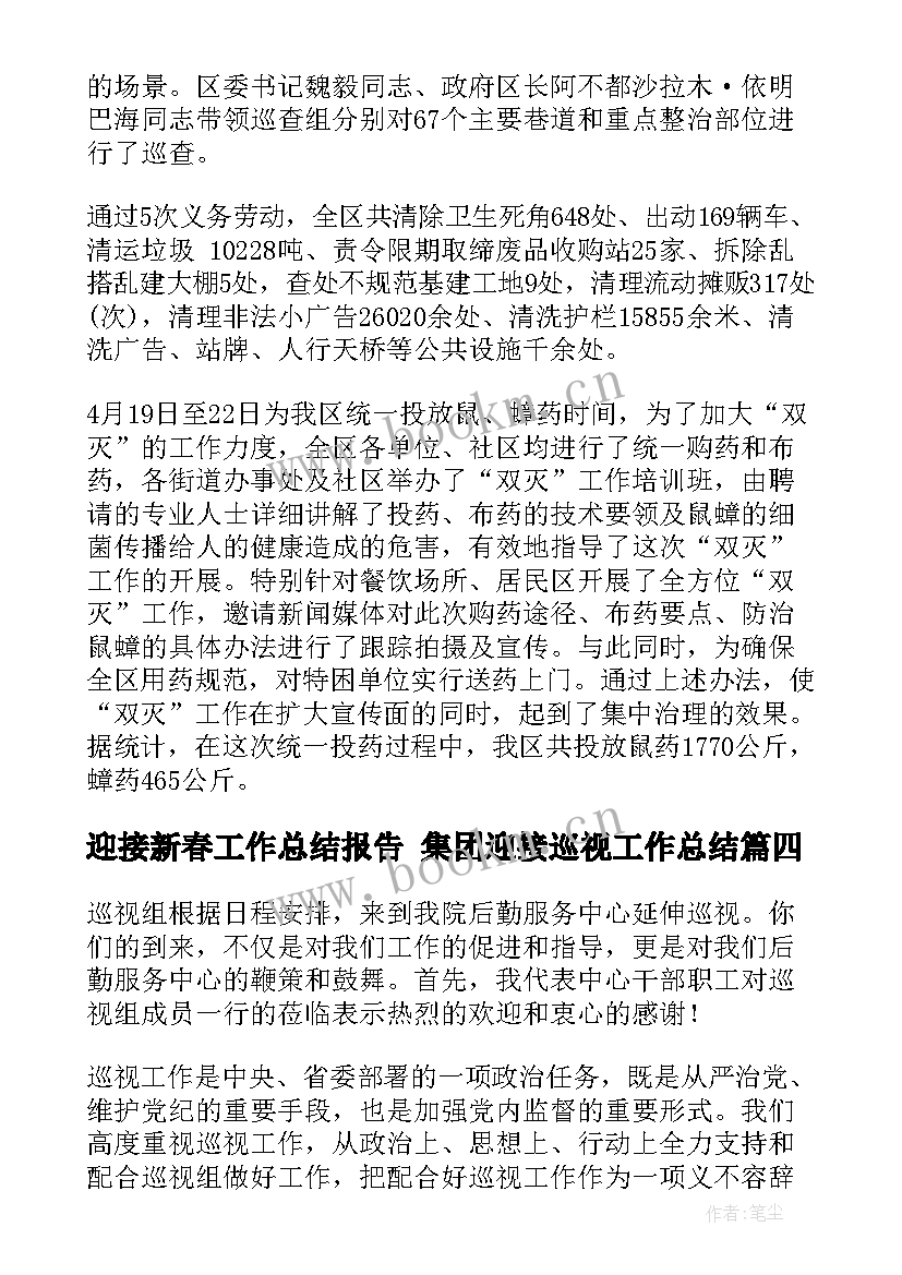 迎接新春工作总结报告 集团迎接巡视工作总结(优质9篇)