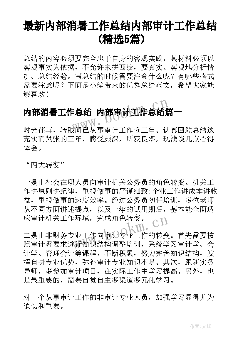 最新内部消暑工作总结 内部审计工作总结(精选5篇)