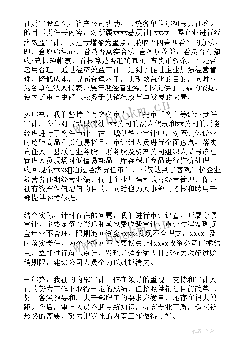 最新内部消暑工作总结 内部审计工作总结(精选5篇)