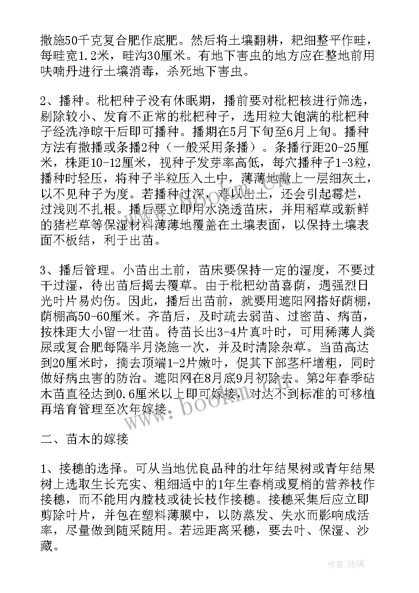 2023年种树活动总结 半年工作总结工作总结(精选10篇)