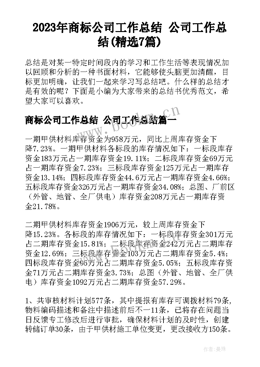 2023年商标公司工作总结 公司工作总结(精选7篇)